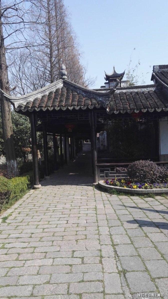 拯救巧虎4